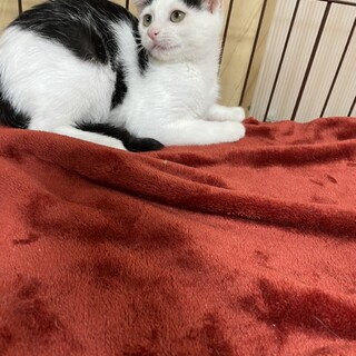 老け顔ですが3か月❗️毎日見ても飽きないマチャミ