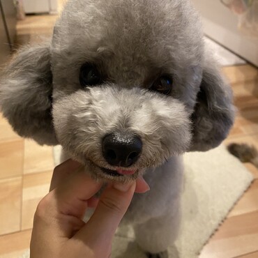 の写真