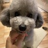 の写真