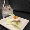 お豆腐ケーキ