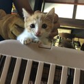 ありがとうございました！