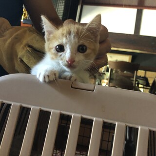 ありがとうございました！