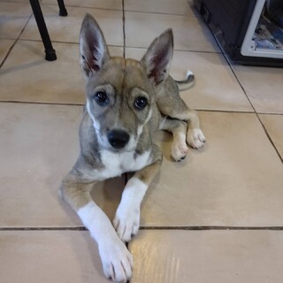 難聴の3ヶ月半美少年