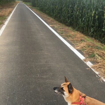 の写真