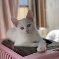 すもも❤️６兄妹
