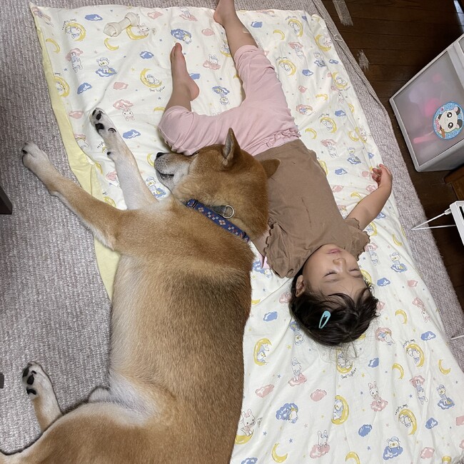 はーteのカバー写真
