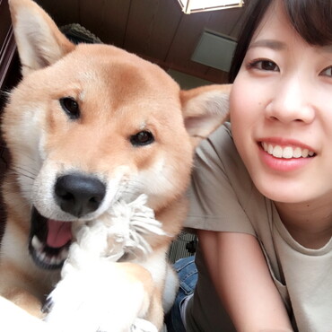 の写真