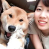 の写真