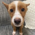まーやの家族を探してます。