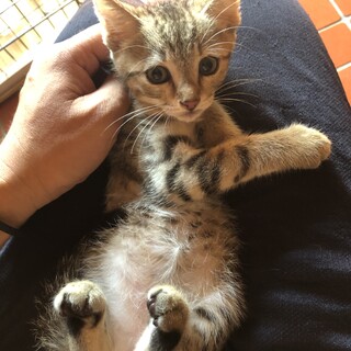ありがとうございました！