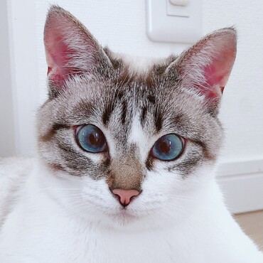 の写真