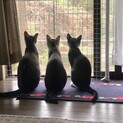 ⭐︎元気な仲良し3人組⭐︎