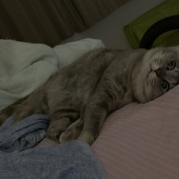 ある夜、このままの顔で微動だにせずびっくりした