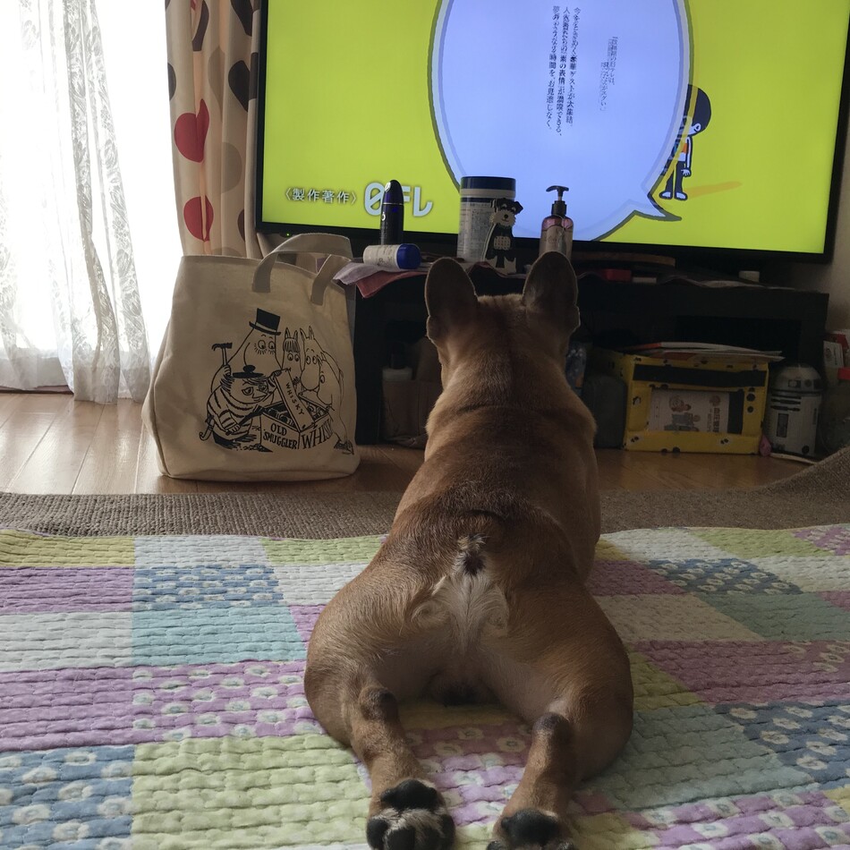 バーブルのカバー写真