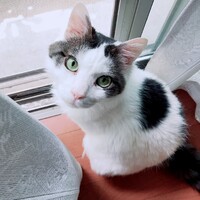 だんくん