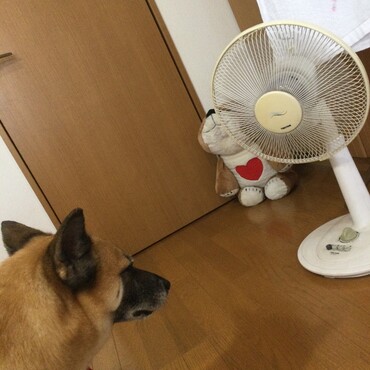 扇風機涼しー