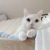 すごい見下ろされてる、すごい