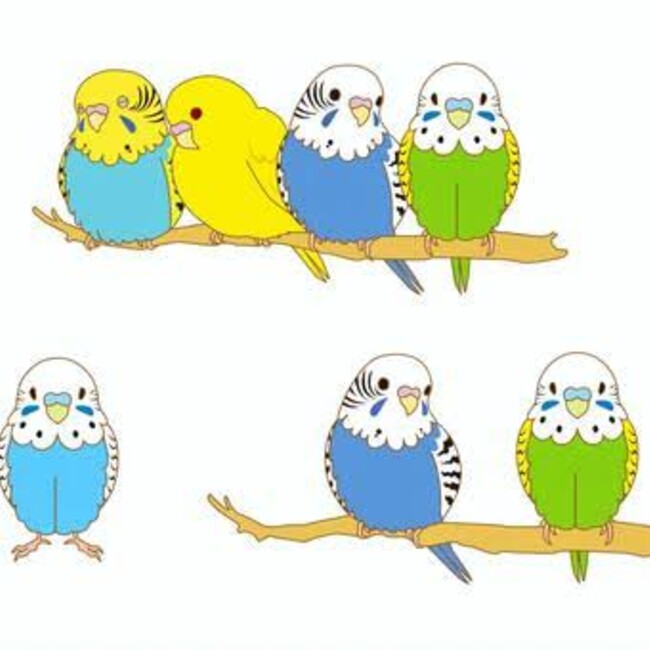 mvmvのカバー写真