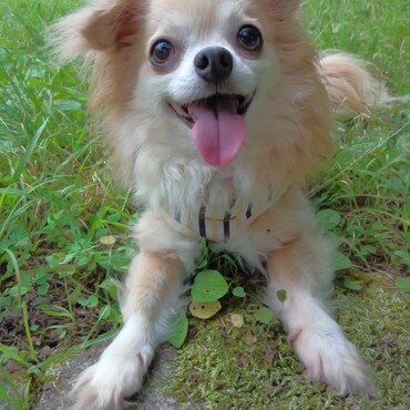 Gintaさん　えささん　ありがとうございます。