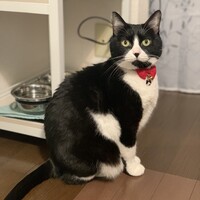 セリ