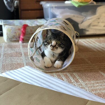 の写真
