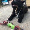 の写真