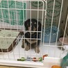 生後4ヶ月