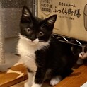 応募者さんとご相談中です！