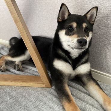 の写真