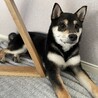の写真