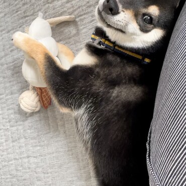 の写真
