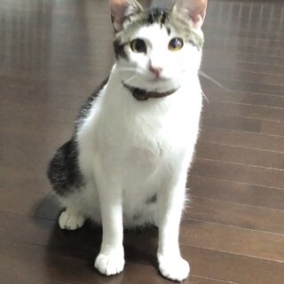ビビリだけど愛されキャラ★元気なポタくん