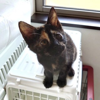 遊ぶの大好き♡かなえちゃん