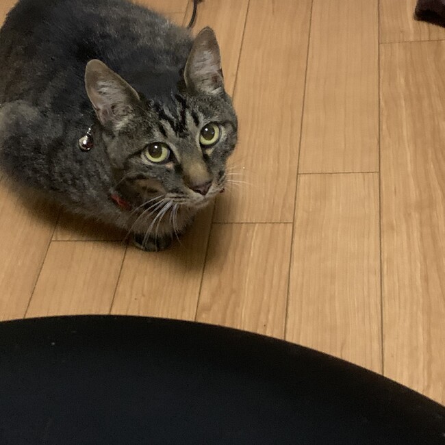 並盛3のカバー写真