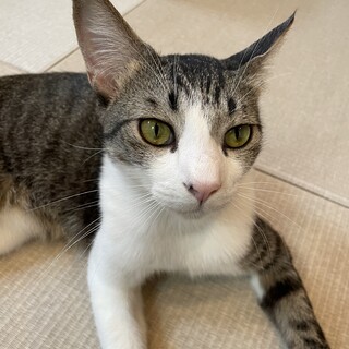 甘えるのが上手なジュニア！