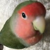ゆずりと