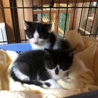 とてもかわいい子です。♡