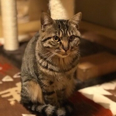 まだ慣れないきなこちゃん❣️