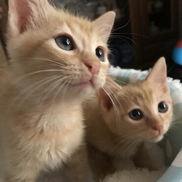 100グラム程で保護して、元気に育ってくれました❣️