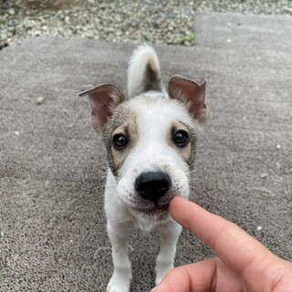【交渉中】おとぼけボーイ【タイム】くん3ヶ月