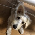 一休ちゃんは、いつでも笑ってます。