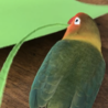 噛むのは仕事（最近ちょっと飽きてきましたが)