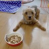 かおりです