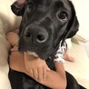 にちかちゃん