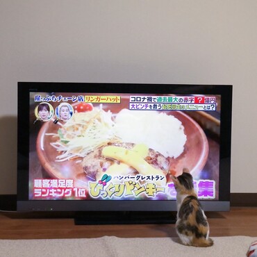 美味しそうだねぇ