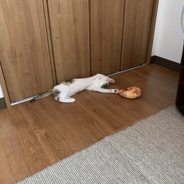バンザイ