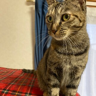 甘えん坊さん♡ランちゃん