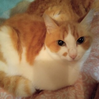 優しいお顔♡れんくん