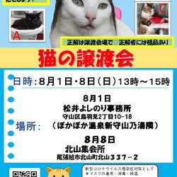 保護猫の譲渡会at北山集会所