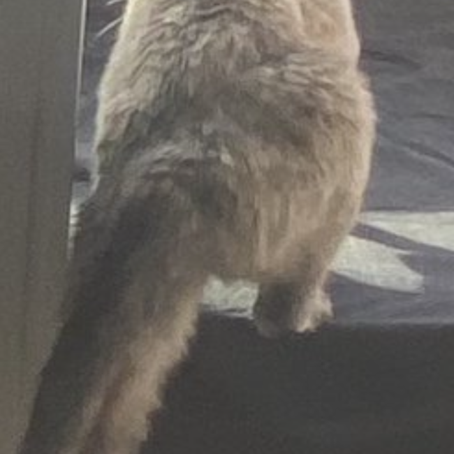 KEI_STRACATのカバー写真